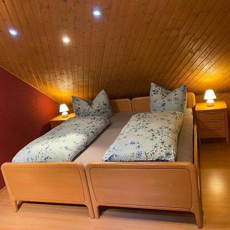 Haus Zeichner 4 Zimmer Ferienwohnung Feldberg  Extérieur photo
