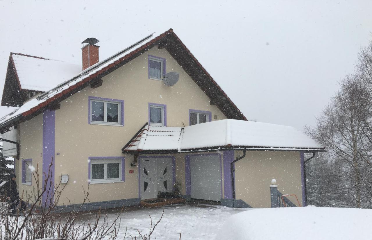 Haus Zeichner 4 Zimmer Ferienwohnung Feldberg  Extérieur photo