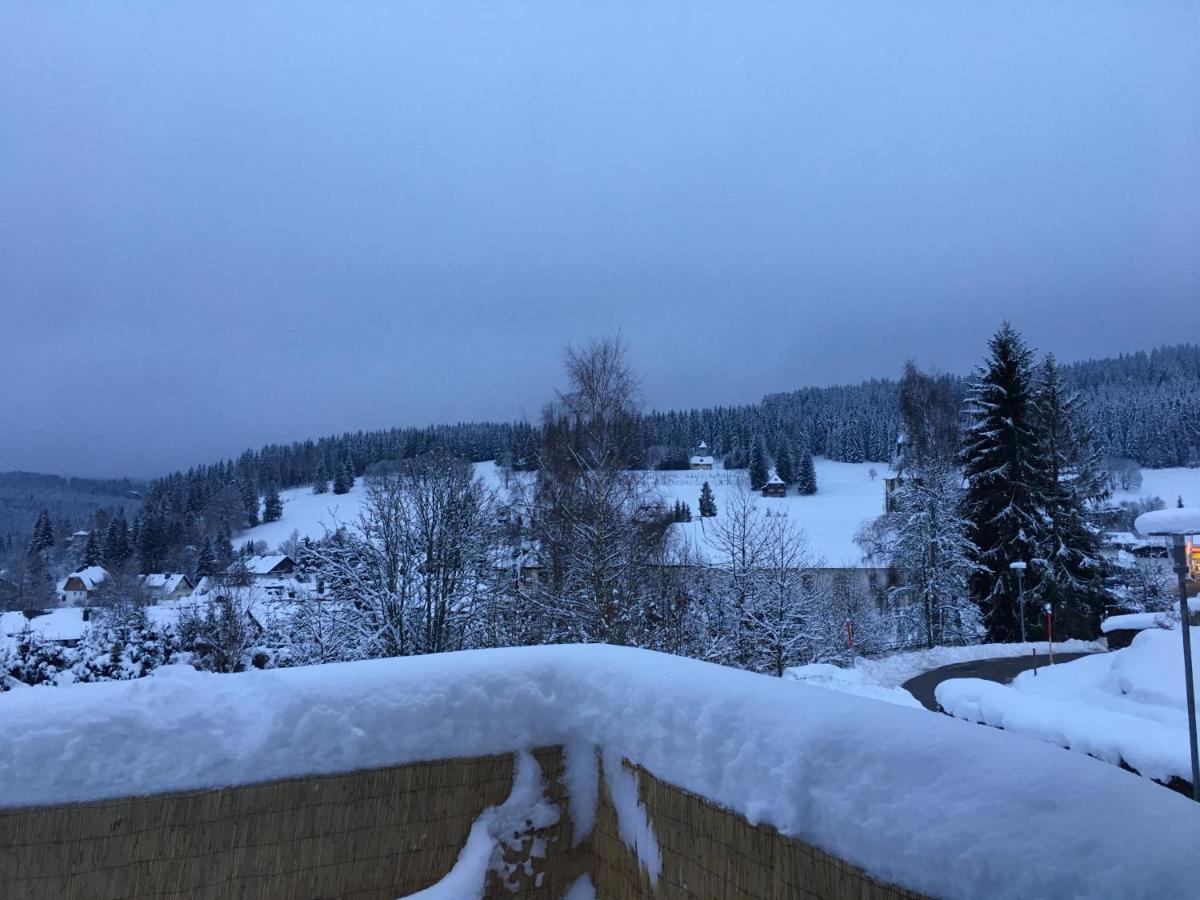 Haus Zeichner 4 Zimmer Ferienwohnung Feldberg  Extérieur photo